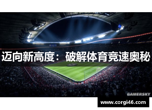 迈向新高度：破解体育竞速奥秘