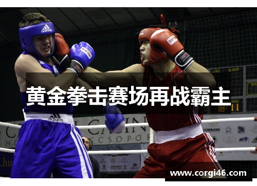 黄金拳击赛场再战霸主